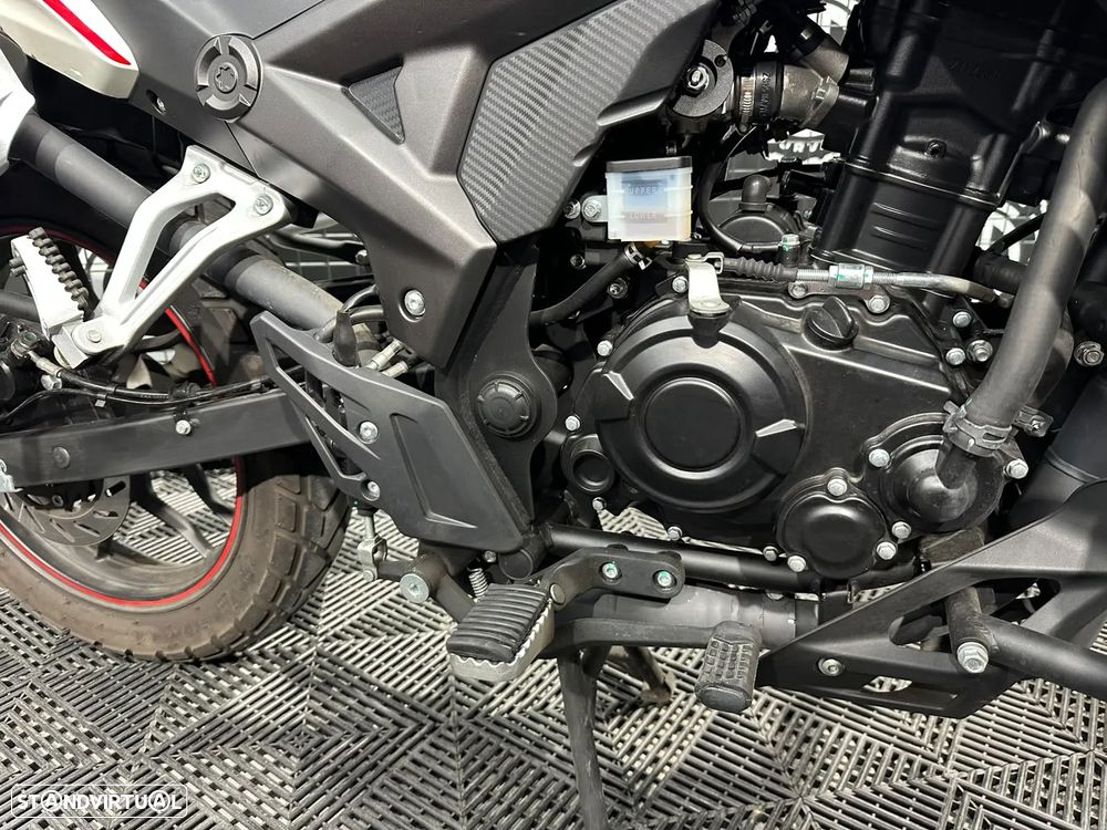 Cyclone RX1 - 5