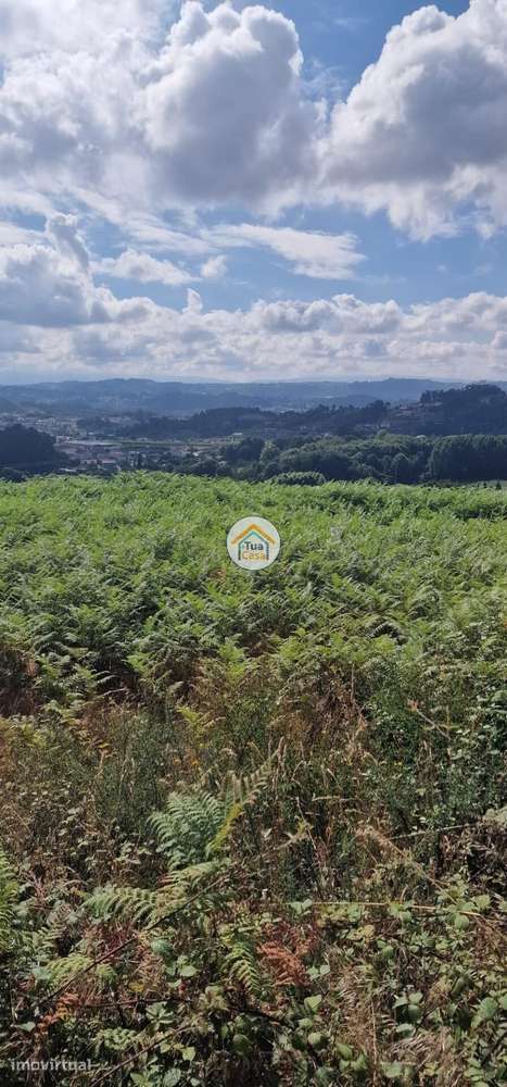 Terreno 1219.54m2 para Construção - Grande imagem: 5/8