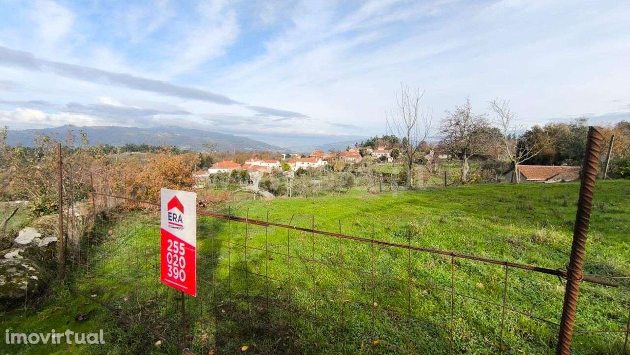 Terreno Rústico / Cinfães, Cinfães - Grande imagem: 5/7