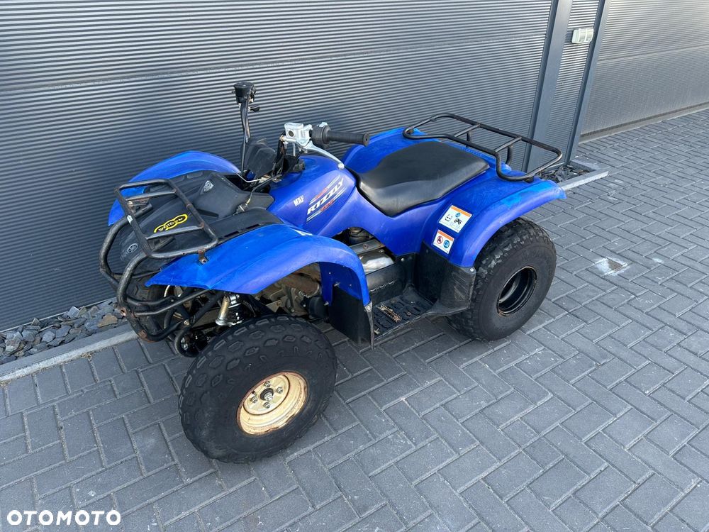 Yamaha Grizzly - 1