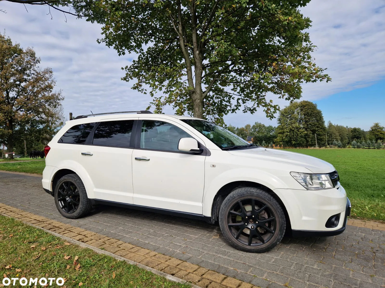 Fiat Freemont 2.0 Multijet Lounge AWD - 4