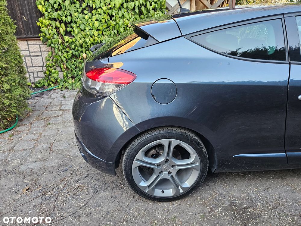 Renault Megane 2.0 16V TCE GT - 15