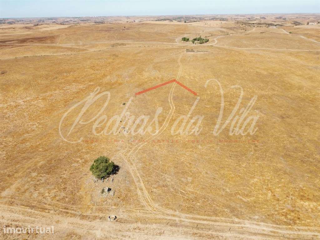 Propriédade de 119ha com varias ruinas - Castro Verde - Grande imagem: 3/48