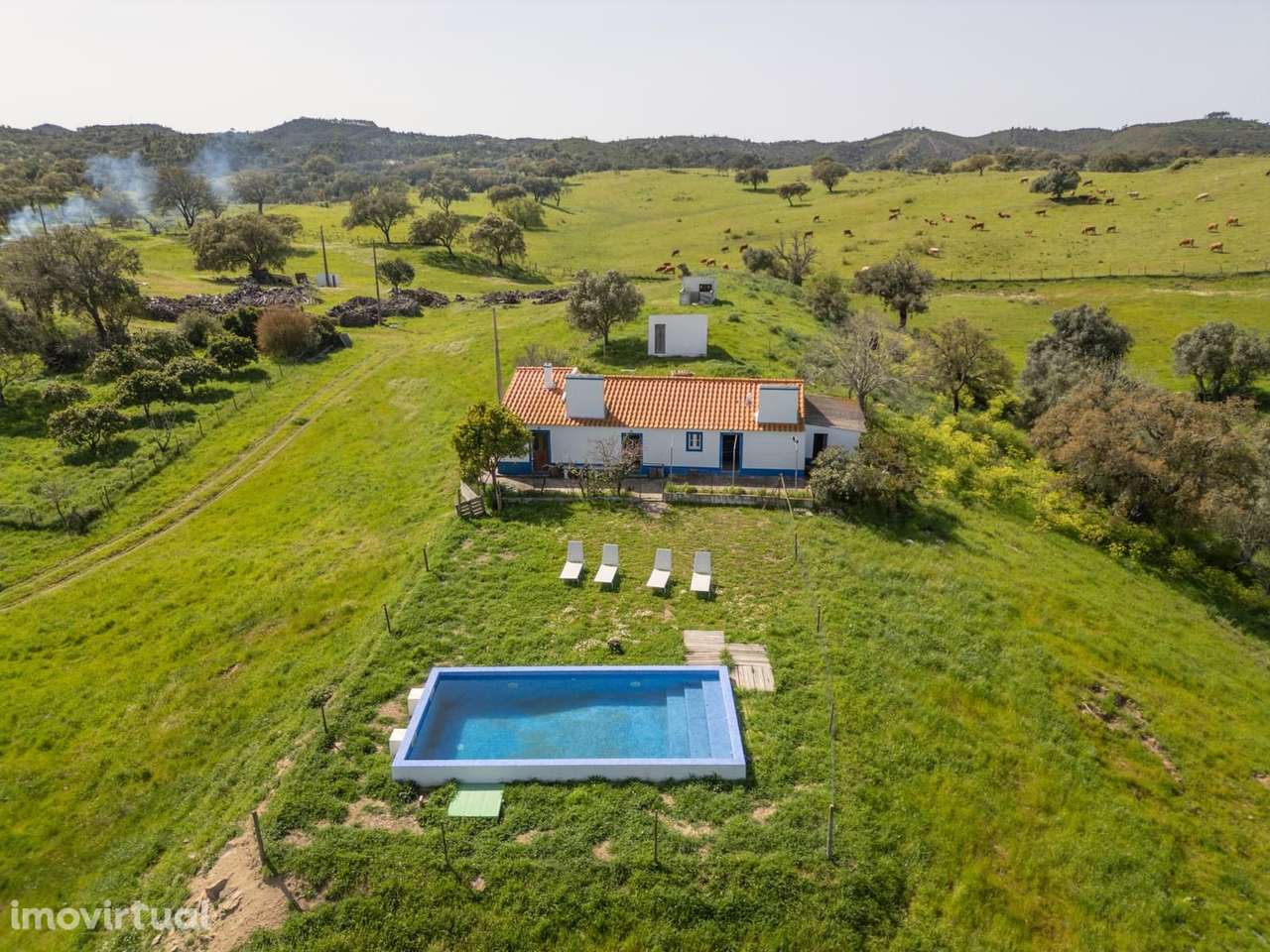 Quinta 40.6 ha, Grandola - Grande imagem: 5/40