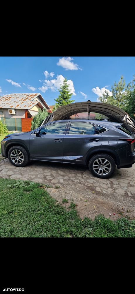 Lexus Seria NX 300h AWD Executive Plus - 6