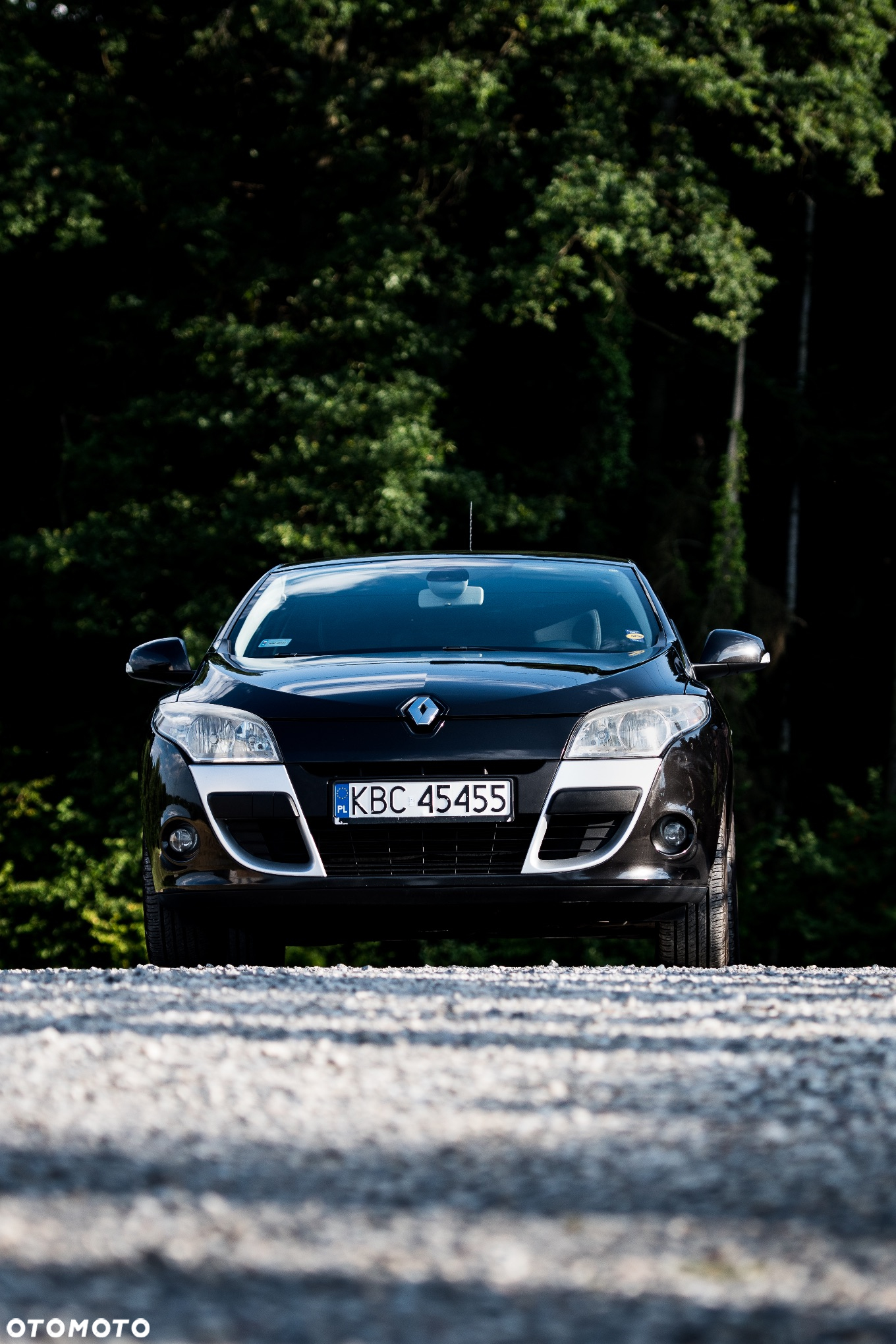Renault Megane 1.4 16V TCE Dynamique - 7