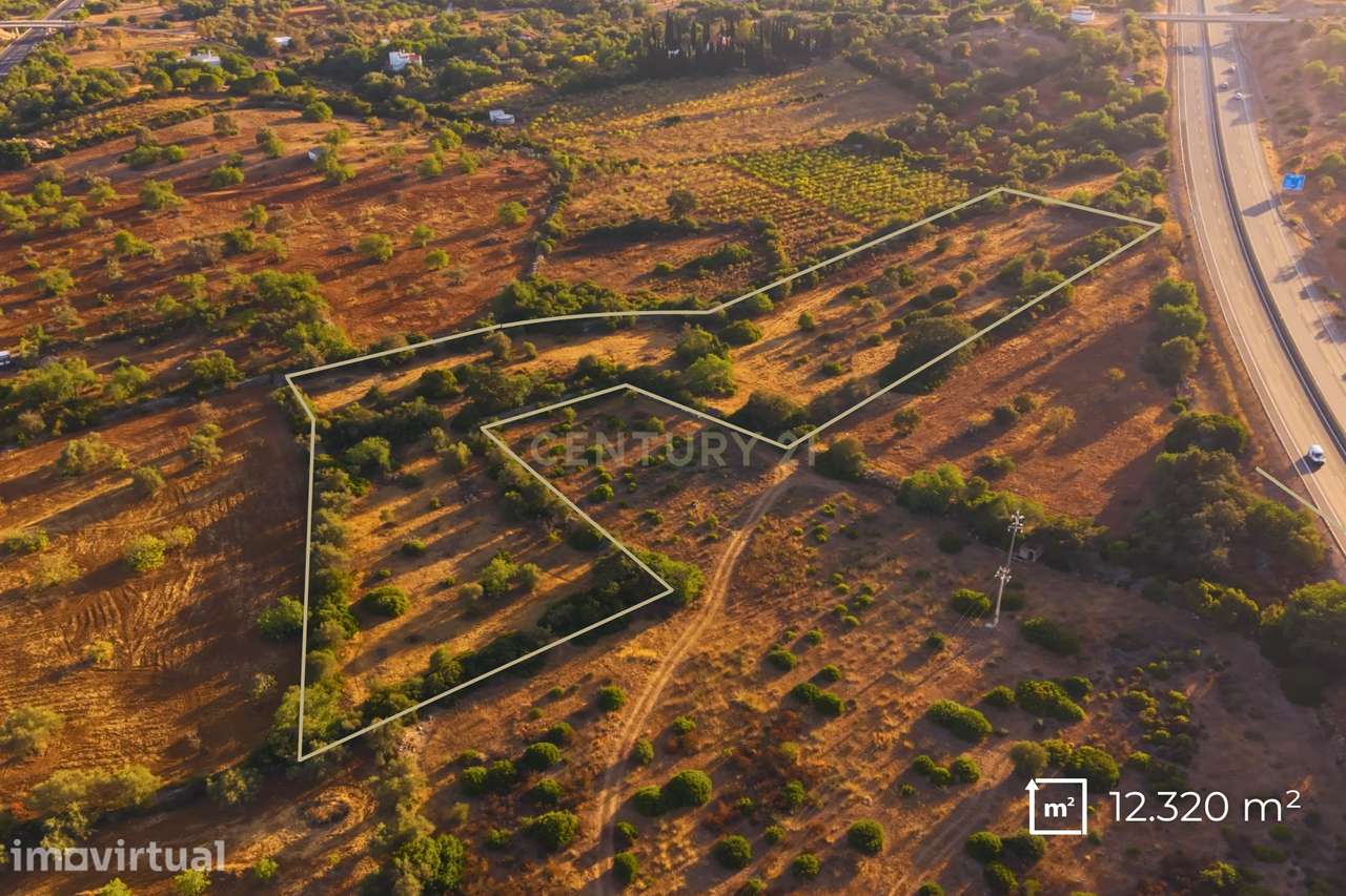 Terreno Rústico com 12.300 m² em Moncarapacho - Olhão - Algarve - Grande imagem: 3/7