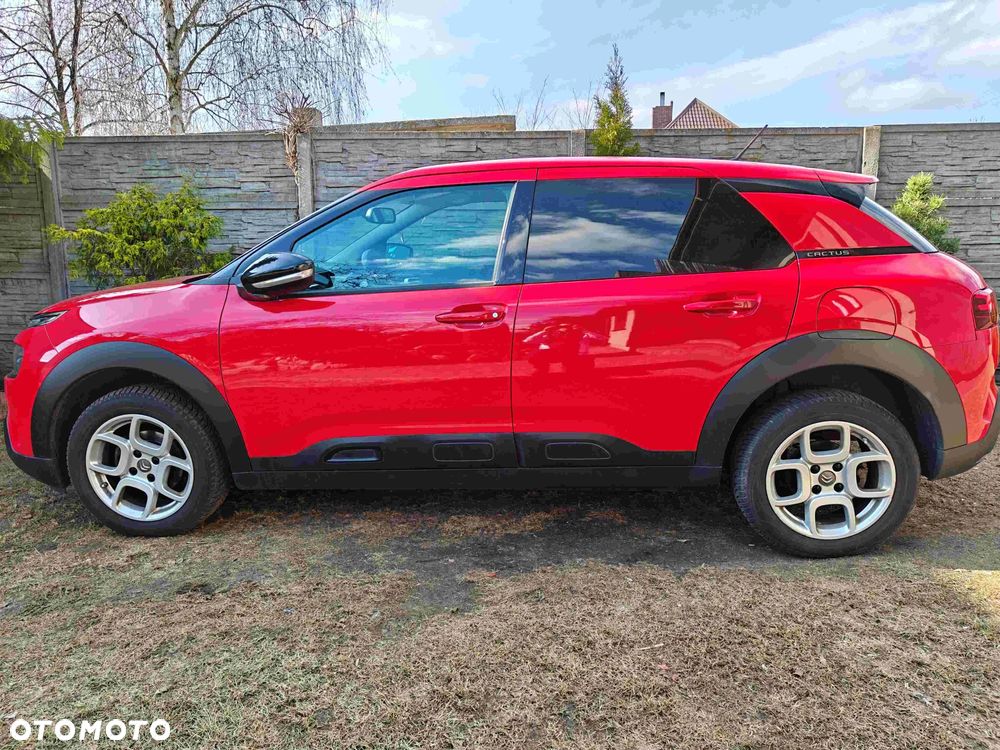 Citroën C4 Cactus 1.2 PureTech Shine S&S EAT6 - 10