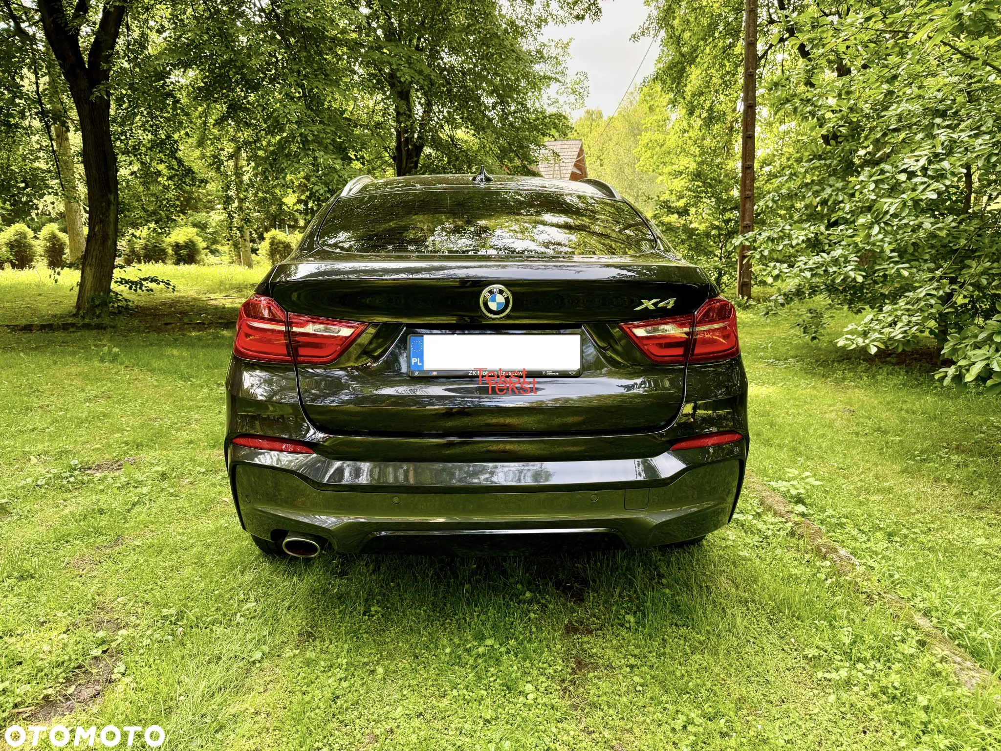 BMW X4 xDrive20d Edycja M Sport - 6