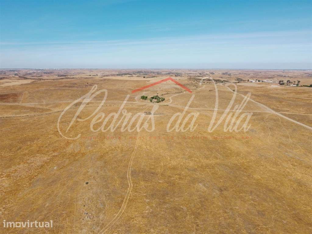 Propriédade de 119ha com varias ruinas - Castro Verde - Grande imagem: 4/48