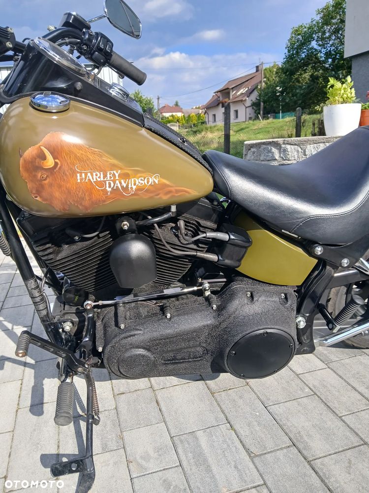 Harley-Davidson Softail - 1