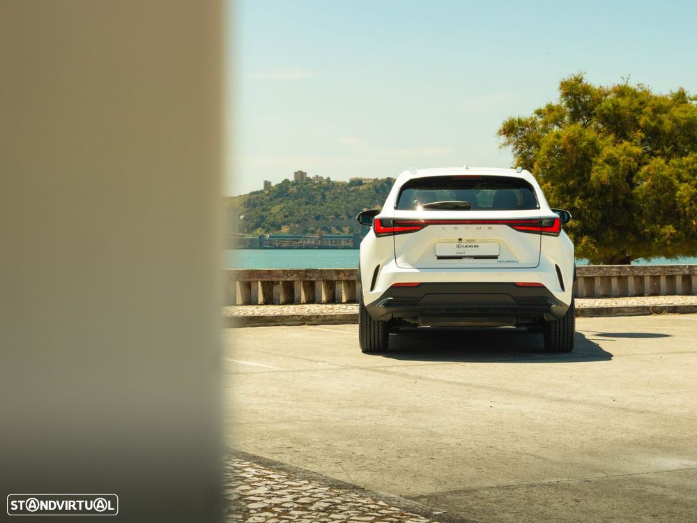Lexus NX 450h+ Executive - 20