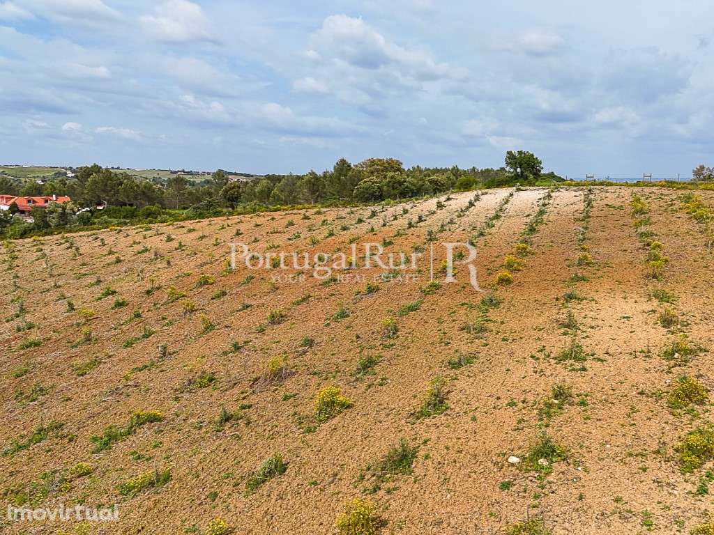 Quinta com 4,6 Hectares no Ribatejo - Grande imagem: 4/18