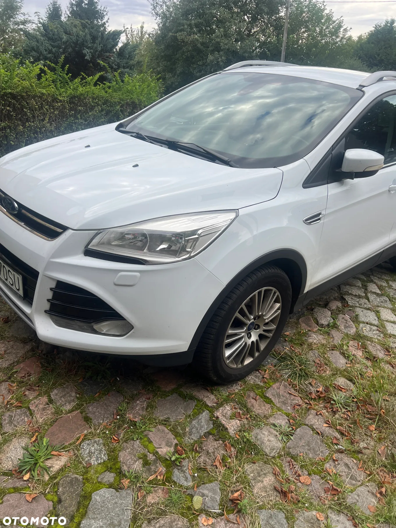 Ford Kuga 2.0 TDCi 4WD Titanium - 2