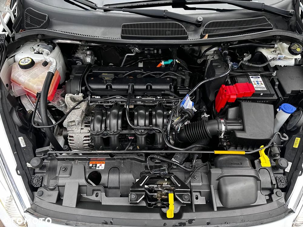 Ford Fiesta 1.25 Celebration - 28