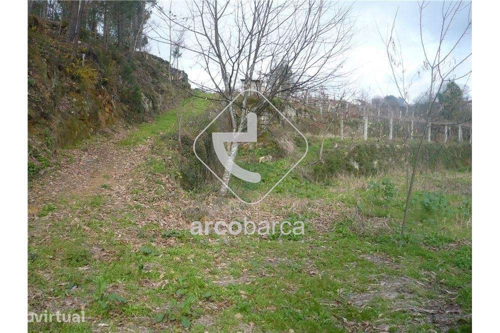 Terreno c/area estruturante e reserva RAN, 3.850m2, Couto,Arcos de Val - Grande imagem: 5/5