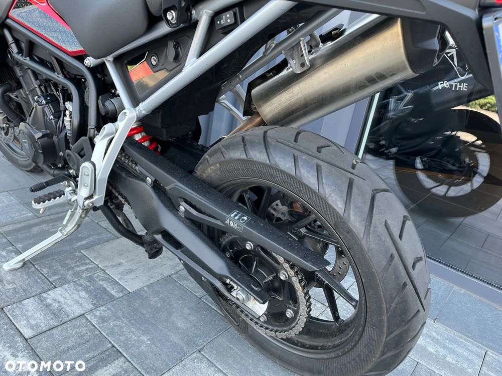 Triumph Tiger - 6