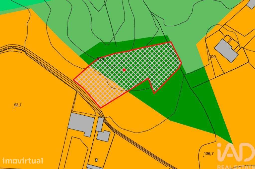 Terreno Agrícola em Souto da Carpalhosa e Ortigosa - Grande imagem: 4/10