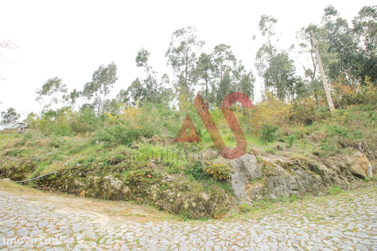 Terreno florestal com 46.000 m2 em Santa Eulália, Vizela - Grande imagem: 2/9