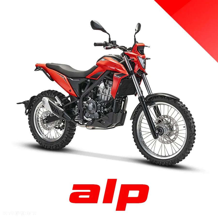 Beta Alp - 20