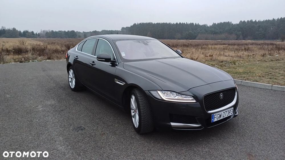 Jaguar XF 20d AWD Prestige - 16