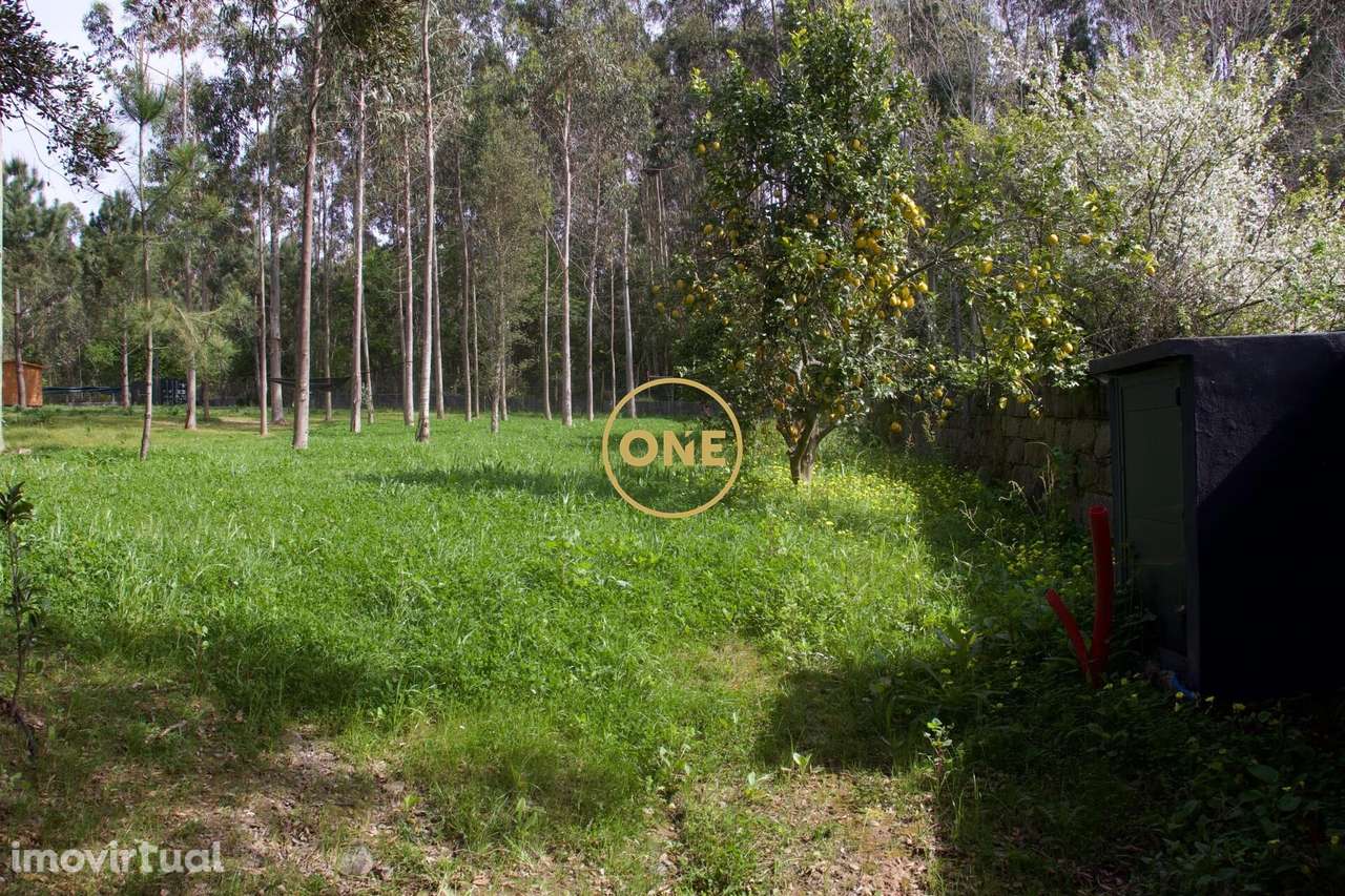 Terreno São Félix da Marinha – 4.100 m2 - Grande imagem: 3/9