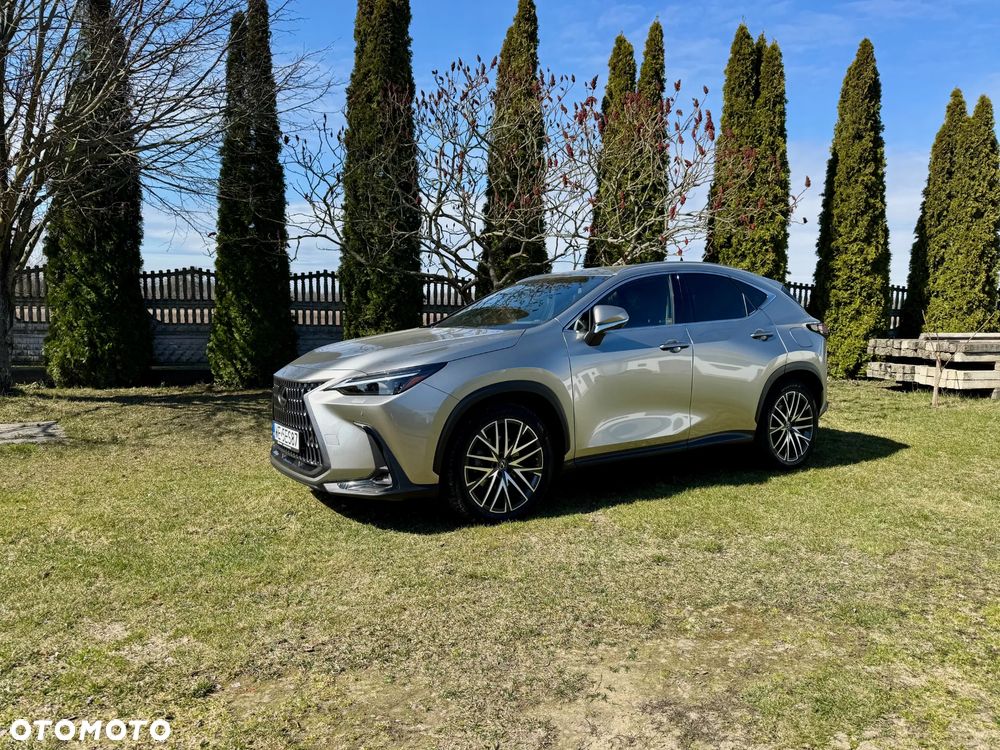 Lexus NX 350h Omotenashi AWD - 1