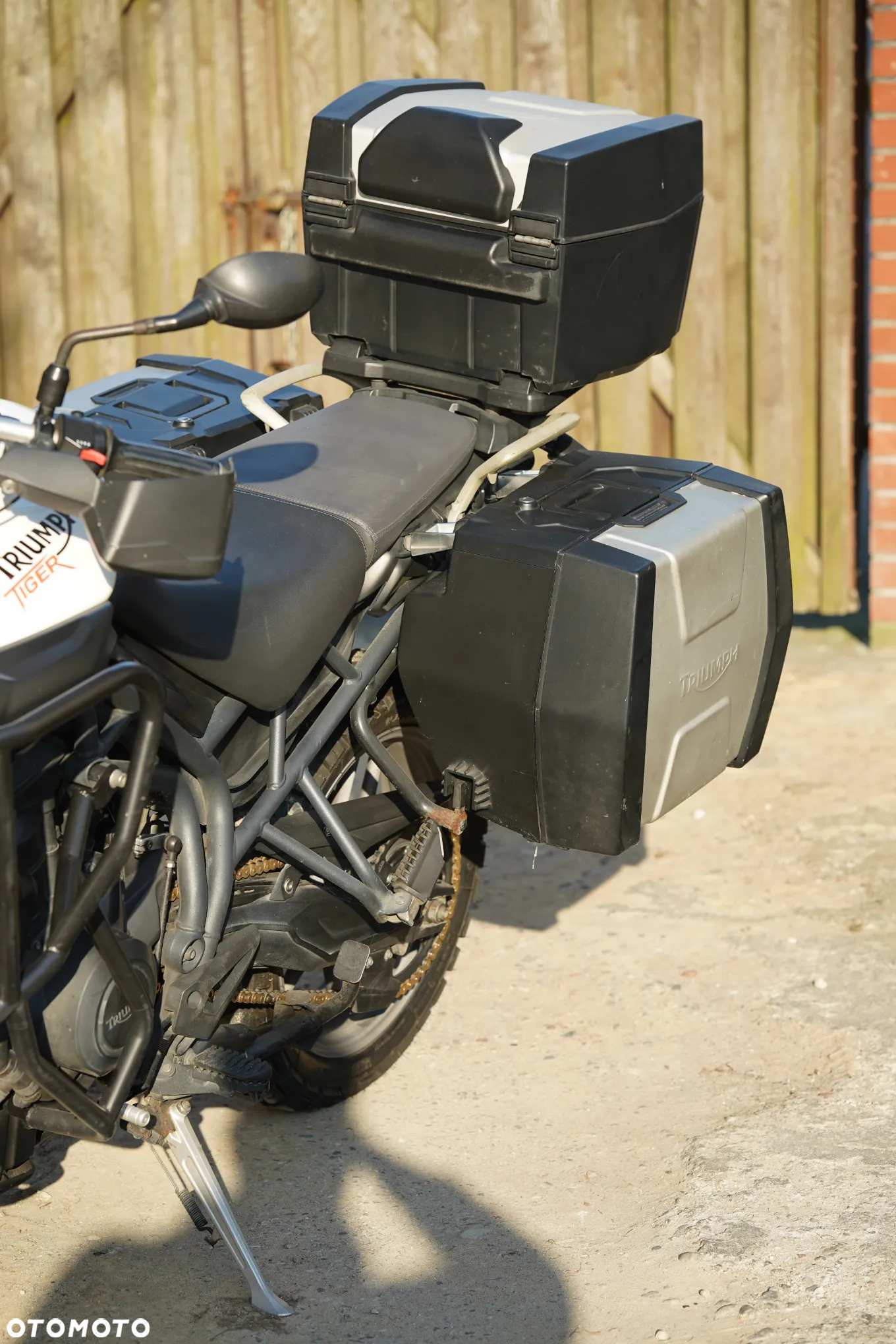 Triumph Tiger - 26