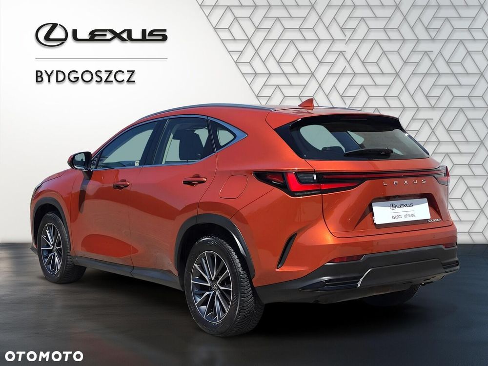 Lexus NX 350h Business AWD - 4