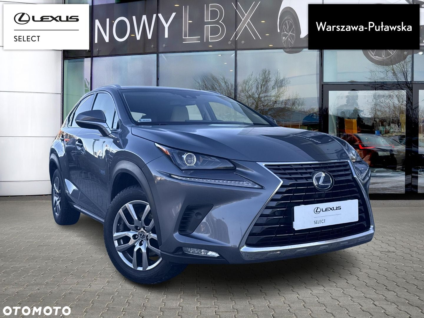 Lexus NX - 4