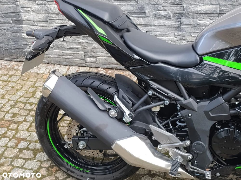 Kawasaki Ninja - 17