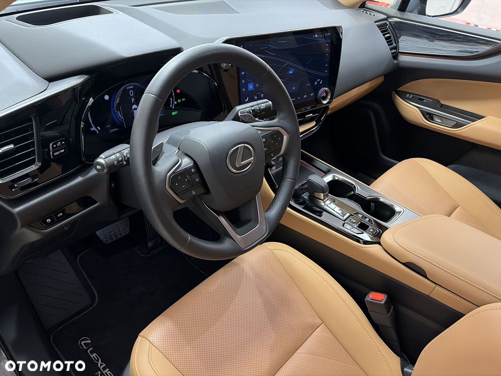 Lexus NX - 10