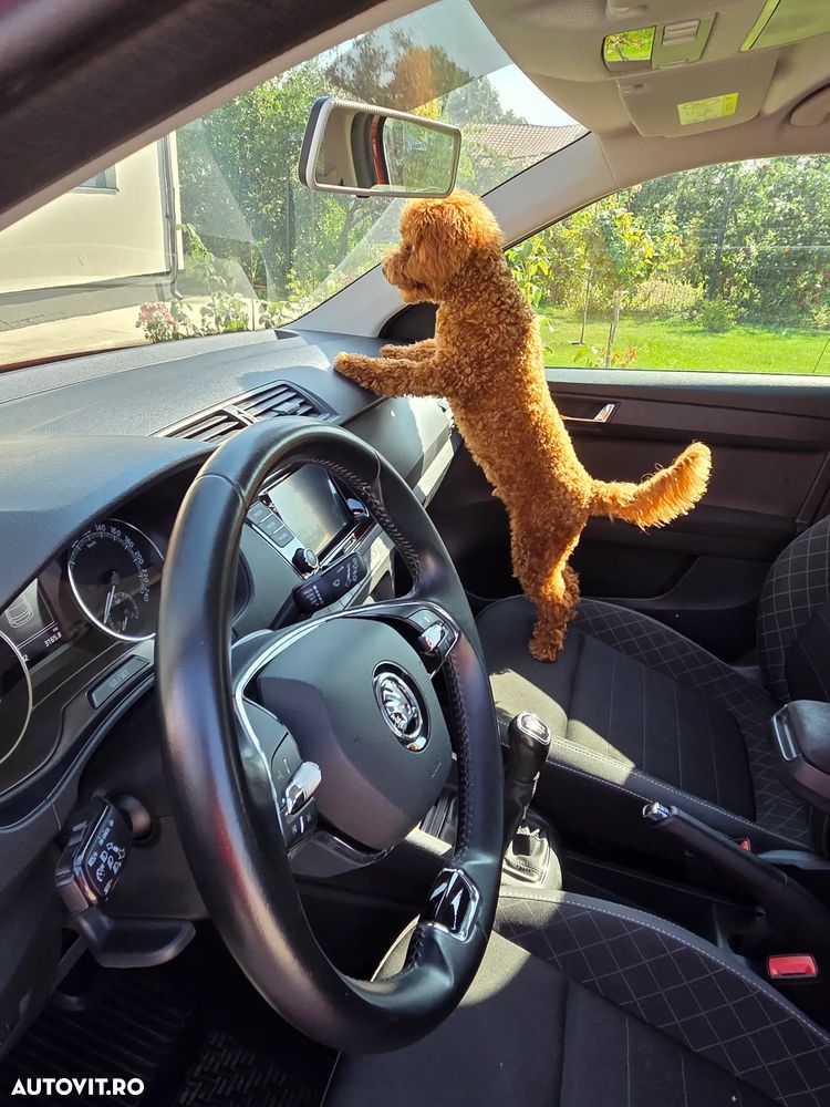 Skoda Fabia 1.0 TSI 95 CP Ambition - 20