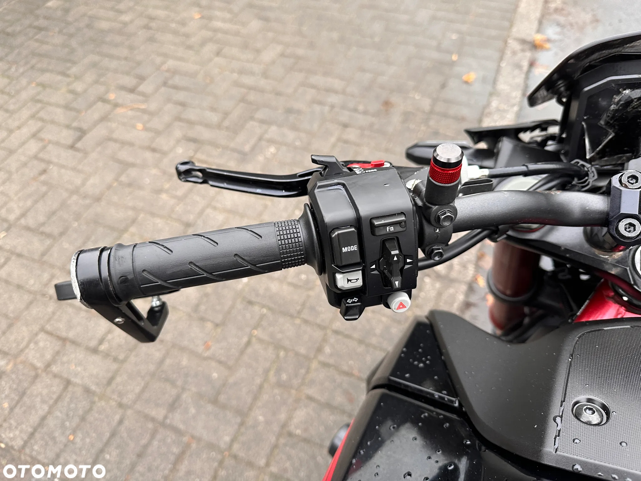 Honda Hornet - 30