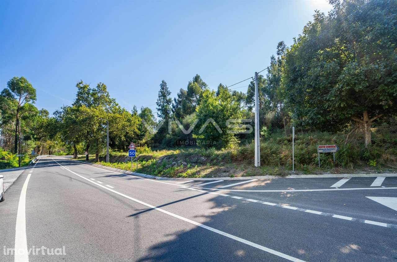 Terreno Rústico  Venda em Pico,Vila Verde - Grande imagem: 4/21