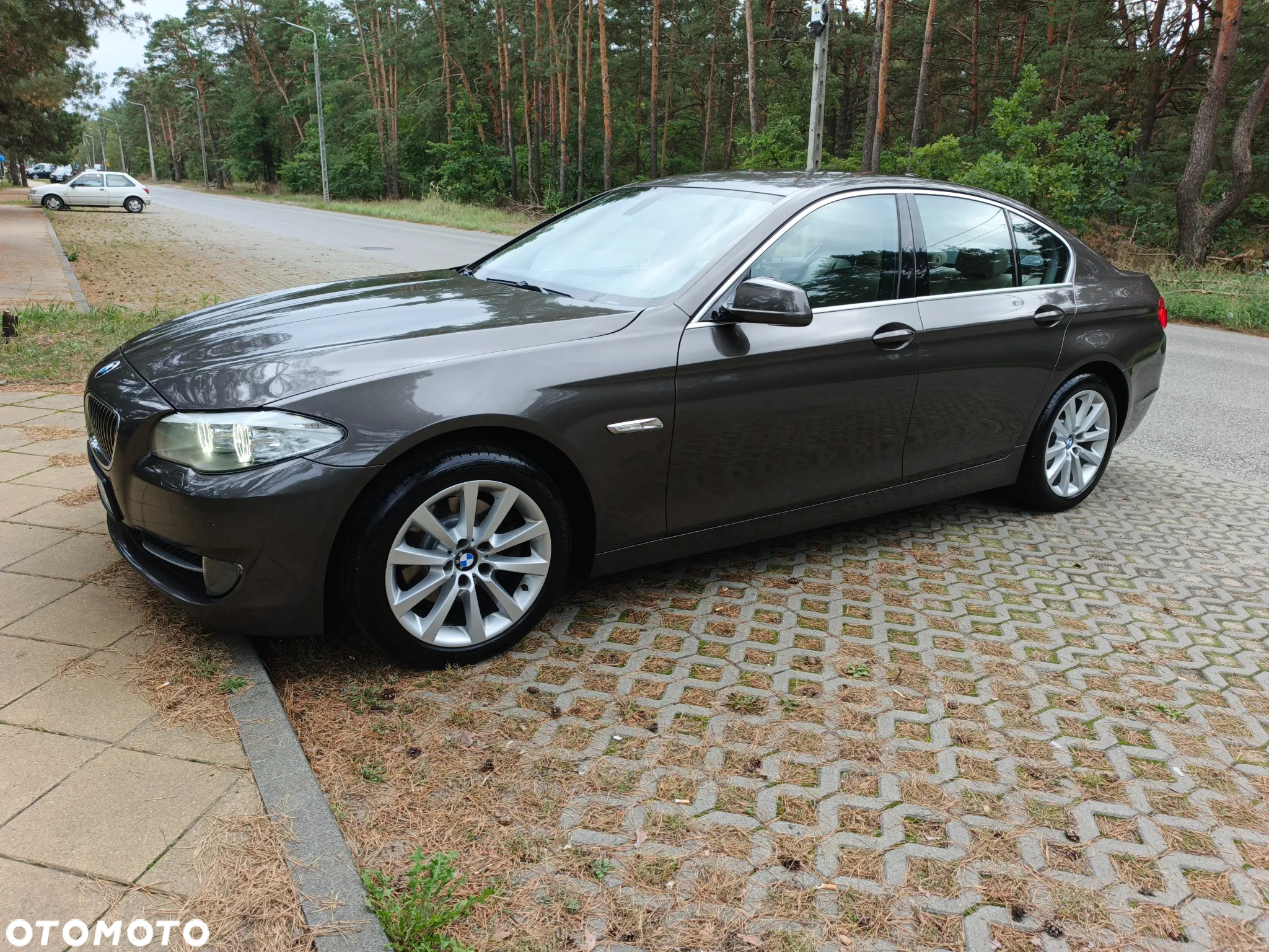 BMW Seria 5 - 13