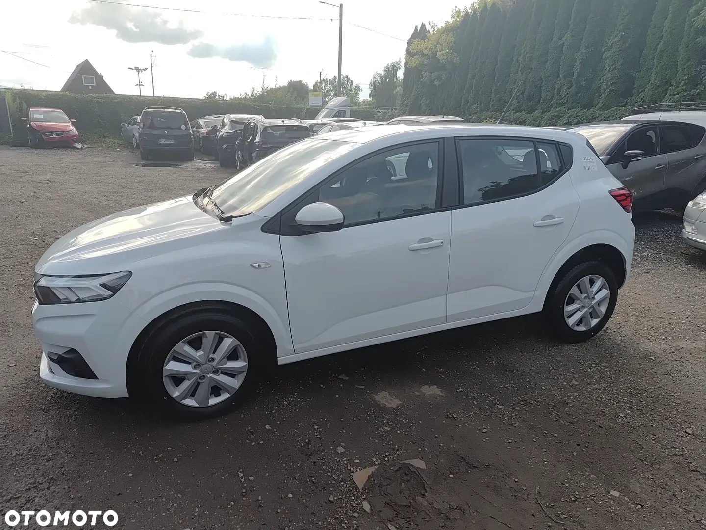 Dacia Sandero 1.0 TCe Expression CVT - 30