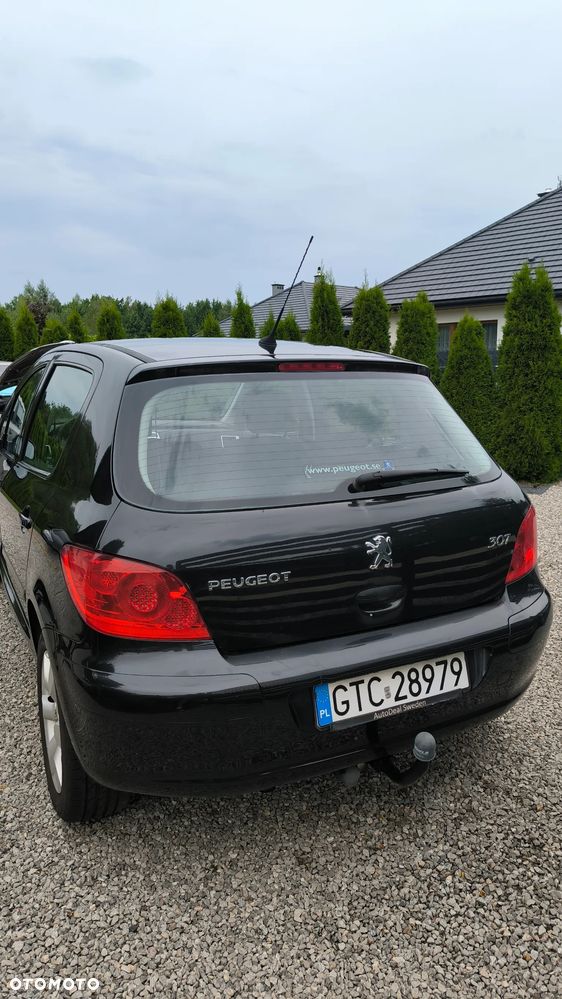 Peugeot 307 2.0 Sporty - 6