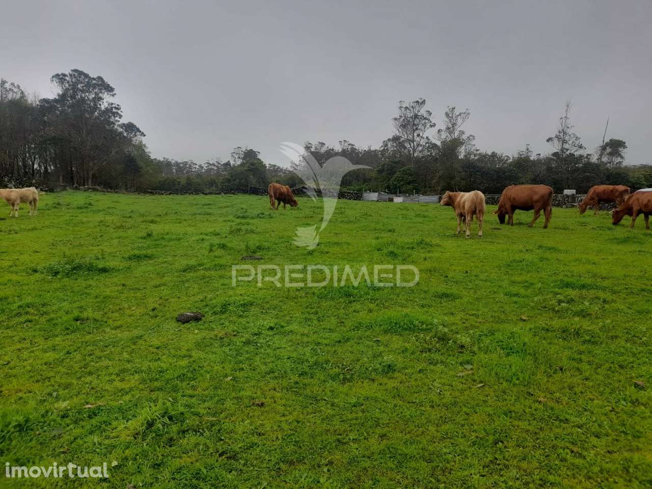 Terreno - São Bartolomeu - Grande imagem: 4/15