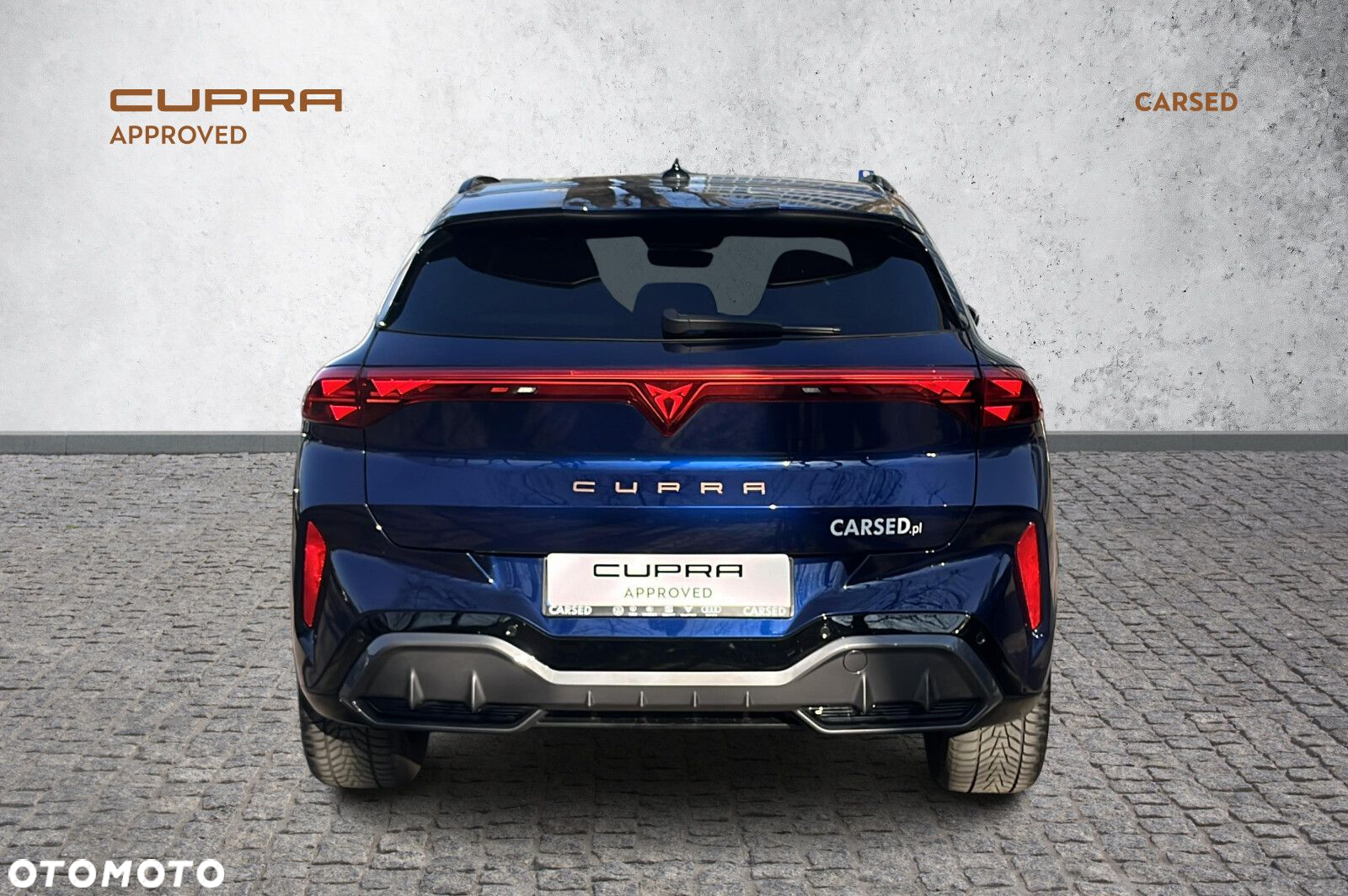 Cupra Terramar - 4