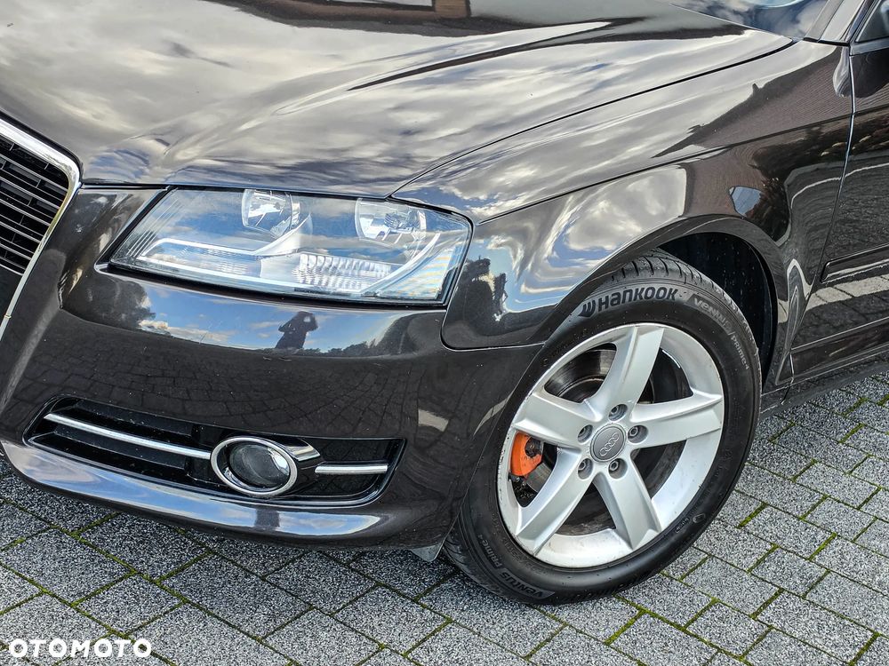 Audi A3 3-drzwiowe 1.6 TDI DPF S line Sportpaket - 5