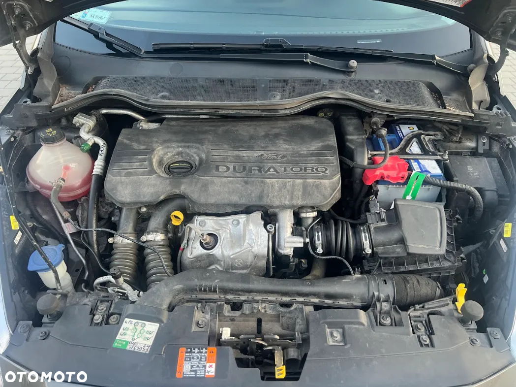 Ford Fiesta - 19