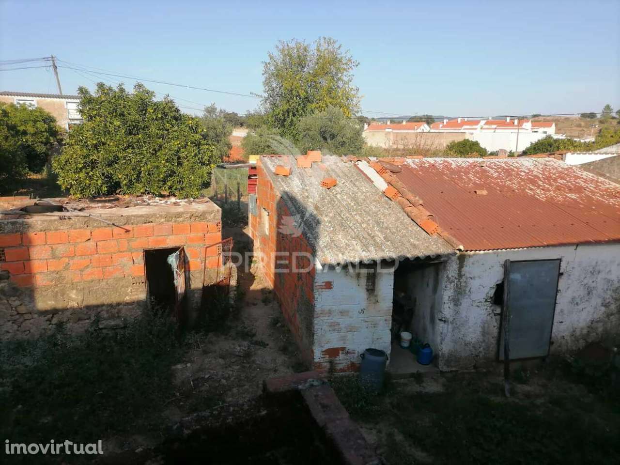 Moradia em Alagoa - Grande imagem: 4/22