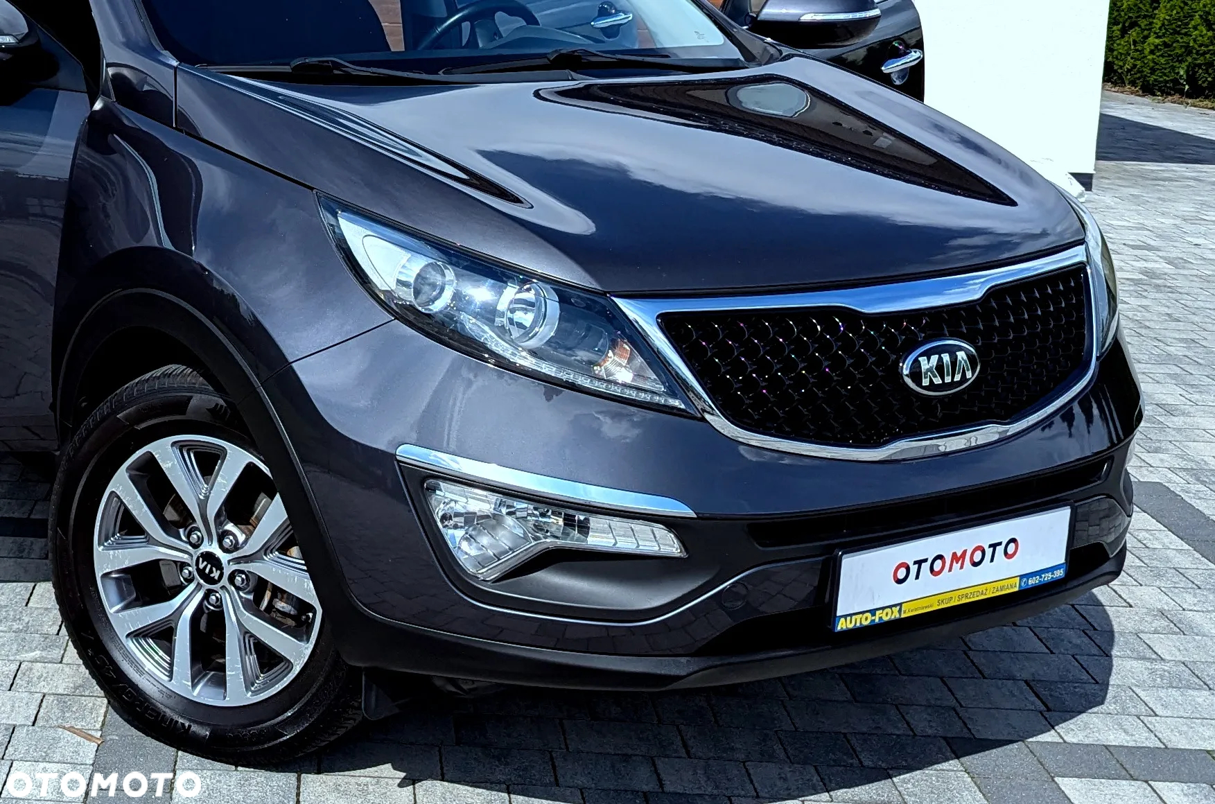 Kia Sportage 1.6 GDI Business Line M 2WD - 29