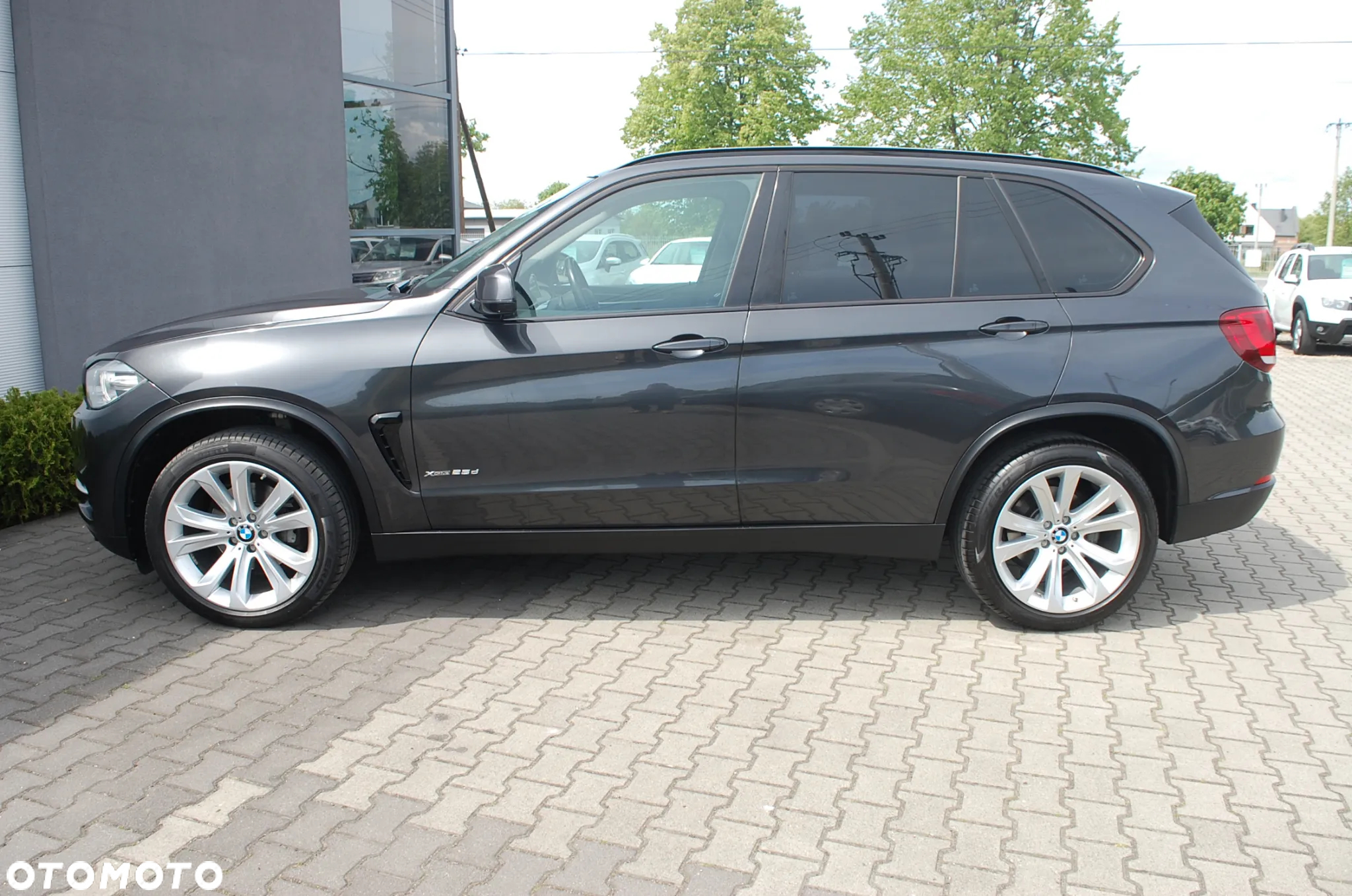 BMW X5 xDrive25d - 19