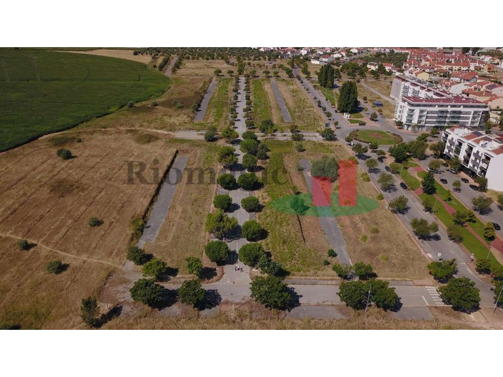 Lote Terreno Entroncamento para Moradia - Grande imagem: 3/19