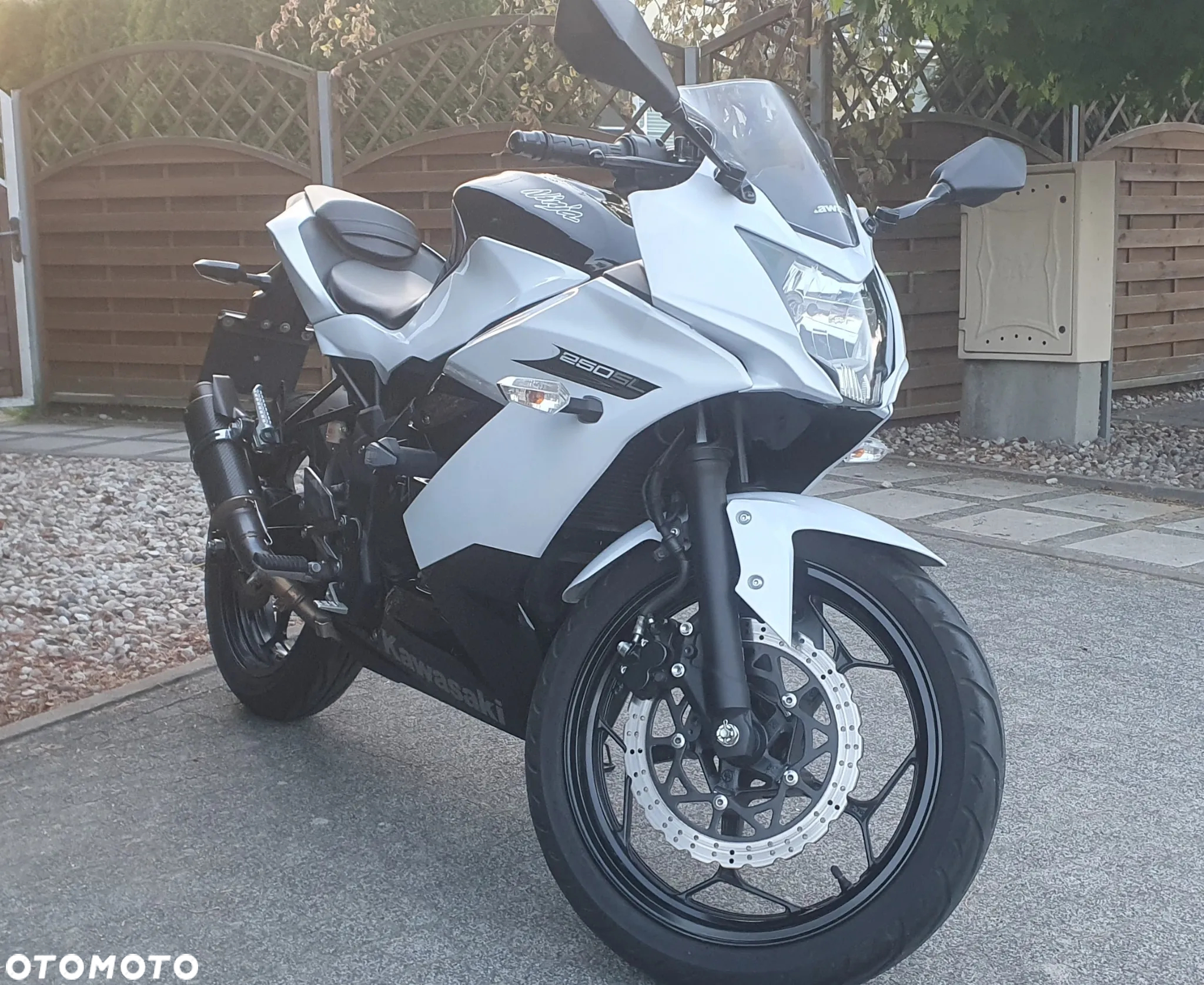 Kawasaki Ninja 250R - 2