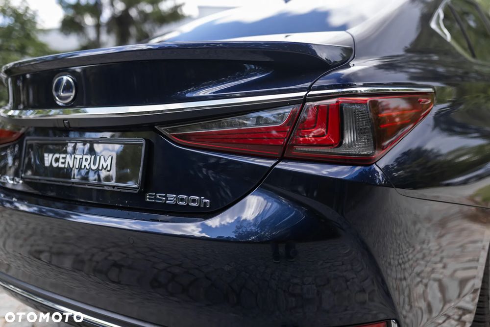 Lexus ES 300h Omotenashi - 12