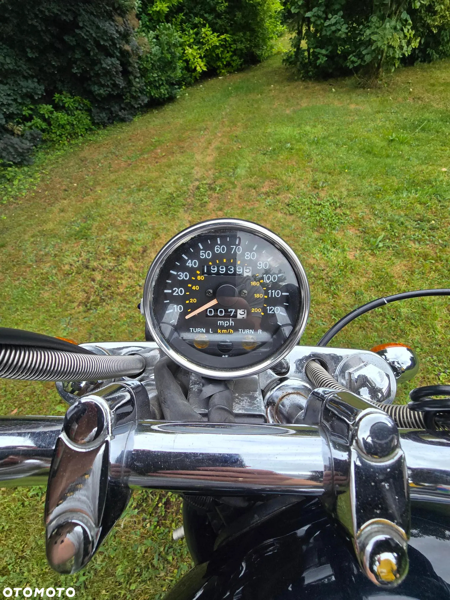 Suzuki Intruder - 9