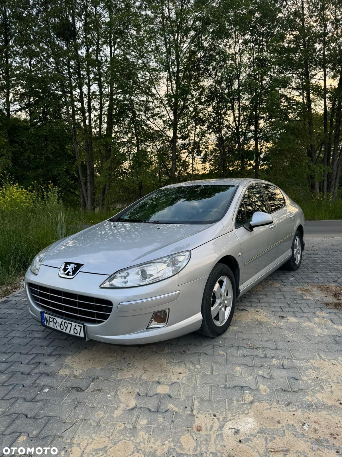 Peugeot 407 2.0 HDi Premium - 1